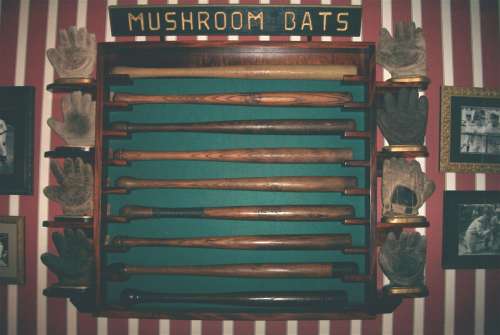 Paul Montesano Display 1